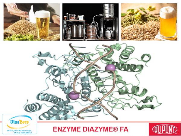 Enzyme Diazyme FA - VinaBeco - Công Ty CP Công Nghệ Bia Rượu Nước Giải Khát Việt Nam